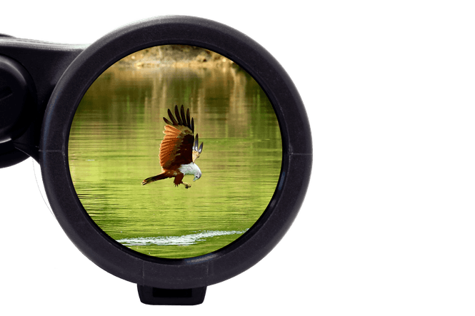Hovedbilde Steiner Skyhawk 4.0 8x42