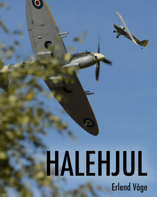 Hovedbilde Halehjul Erlend Våge